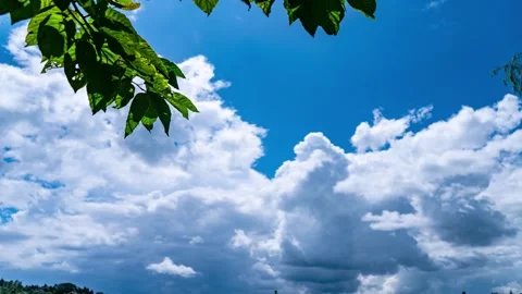 Sunlit clouds drifting across a vibrant blue sky framed by green tree leaves Stock-Footage 347038591