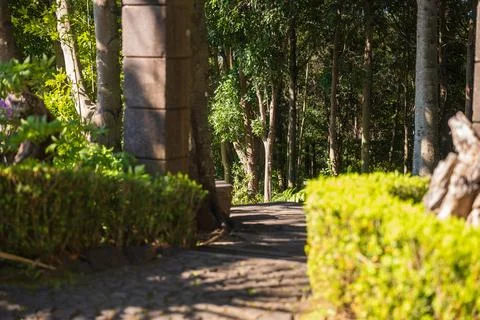 Sunlit cobbled garden path and stone pillar in Madeira woodland Stock Photos