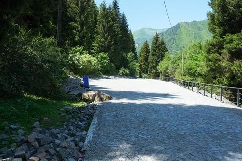 Sunlit cobblestone path and railing in Georgia mountain forest Stock Photos
