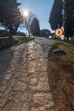 Sunlit Cobblestone Path Through Park With Pedestrian Sign And Tall Trees, B.. Stock Photos