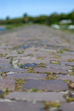 Sunlit Cobblestones With Blurred Greenery. Fotos Stock