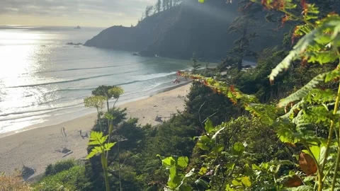 Sunlit Crescent Beach and Coastal Cliffs at Ecola State Park Oregon Stock Footage 341993013