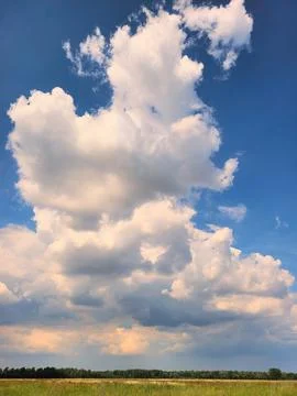 Sunlit Cumulus Cloudscape over Lush Greenery, Killdeer Wetlands Stock Photos