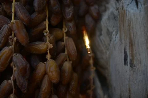 Sunlit Dates on Palm Trunk Foto stock