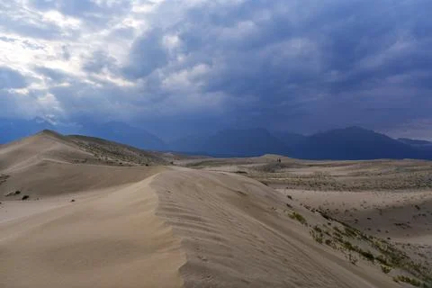 Sunlit desert dunes under a dramatic cloudy sky Stock Photos