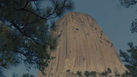 Sunlit Devils Tower Rock Face Framed by Pine Branches Stock Footage 340245445