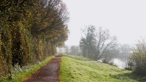 Sunlit dirt path bordered by autumn trees and grassy bank bare branches cast Stock Footage 323359518
