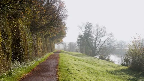 Sunlit dirt path bordered by autumn trees and grassy bank bare branches cast Видео 323478942