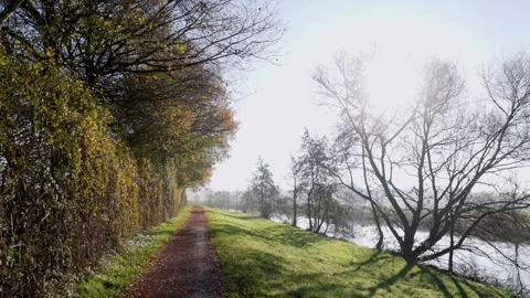 Sunlit dirt path bordered by autumn trees and grassy bank bare branches cast Vidéo 323484962