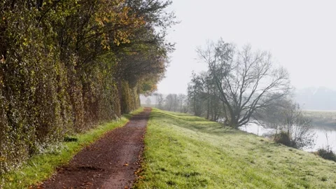 Sunlit dirt path bordered by autumn trees and grassy bank bare branches cast Stock Footage 324532480
