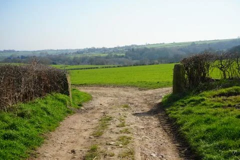 Sunlit Dirt Path Through Green Fields And Hedges, Barlow, North East Derbyshire, Stock Photos