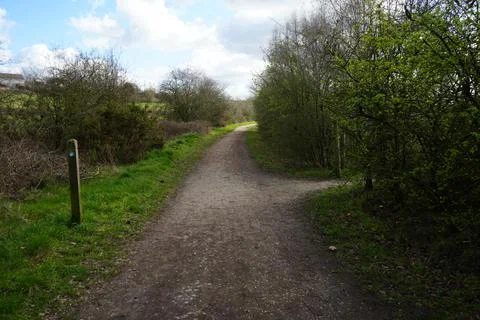Sunlit Dirt Path Through Spring Woodland In North East Derbyshire, England. Stock Photos