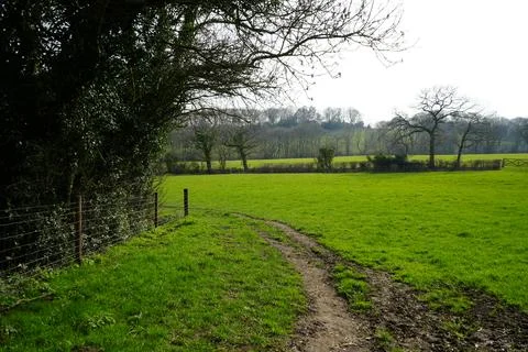 Sunlit Dirt Path Through Vibrant Green Fields In Barlow, North East Derbyshire, Stock Photos