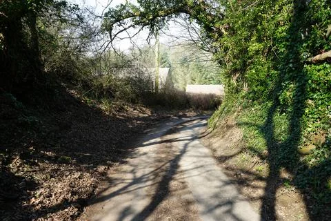 Sunlit Dirt Path Winding Through Woodland, Barlow, North East Derbyshire, 스톡 사진