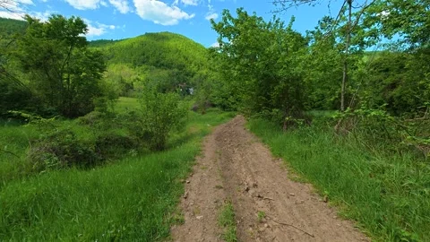 Sunlit dirt path winds through lush green forest. Balkans, Serbia. Vídeos de archivo 336894266