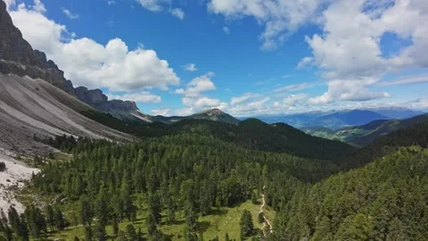 Sunlit Dolomites Forest Valley With Path, Lush Conifer Canopy, Winding Hiking Vidéo 323980132