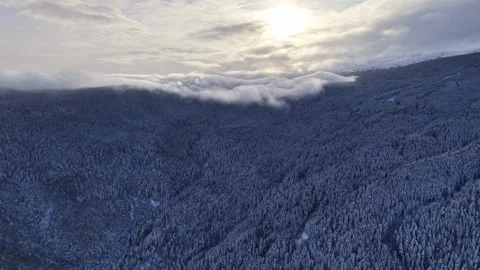 Sunlit Drone Flight Over Snowy Mountain Forest Stock Footage 302720817