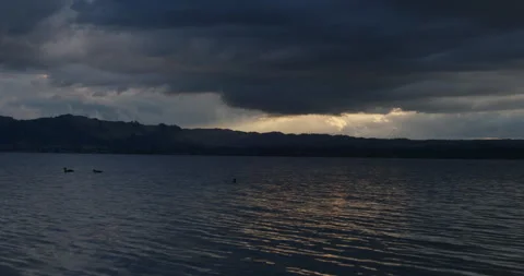 Sunlit Ducks: Graceful Silhouettes in Front of Cloud-Piercing Sunbeam 動画素材 250142158