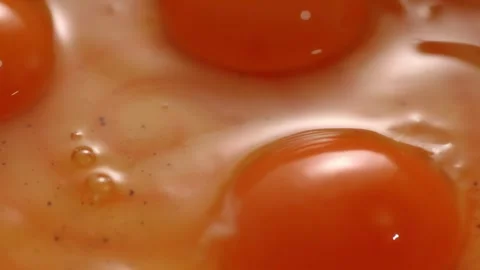 Sunlit egg yolks settle in a bowl. Stock Footage 258651570