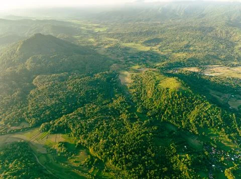 Sunlit Estuary Stock Photos