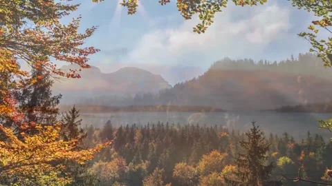 Sunlit Evergreen Woods Transitioning to Twilight Waters Stock Footage 346195877