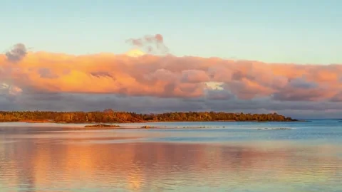 Sunlit Evergreen Woods Transitioning to Twilight Waters Stock Footage 346195894