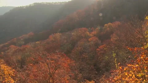 Sunlit Fall Foliage on Misty Ridge Lines Stock Footage 346196134