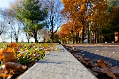 Sunlit Fall Park Stock Photos