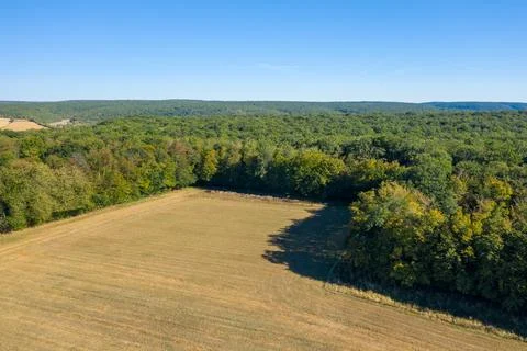 Sunlit field bordered by dense forest edge Foto stock