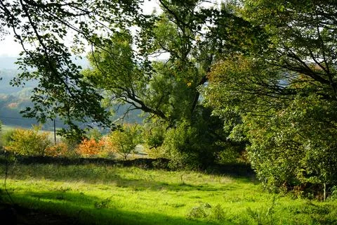 Sunlit Fields And Trees With Autumn Colours In Black Rocks, Cromford, Derbyshire Stock Photos