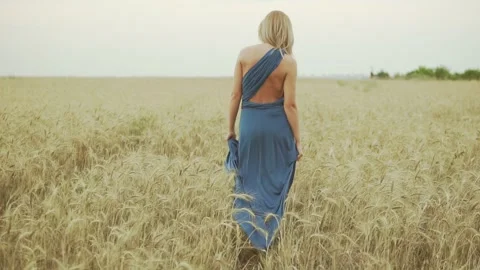 Sunlit Fields of Ukraine Stock Footage 315937532