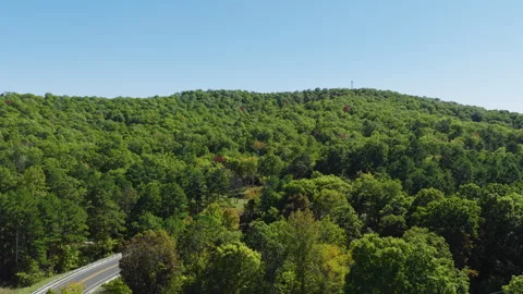 Sunlit Forest Hills Near Devils Knob Lookout Stock Footage 324948375