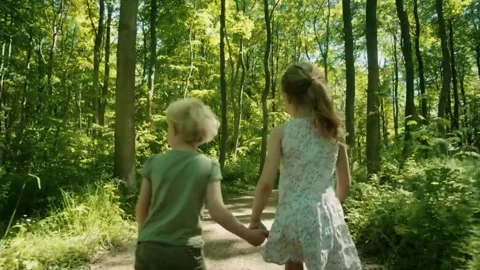 Sunlit forest path, children walking trail, peaceful nature walk Stock Footage 311037386