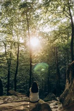 Sunlit Forest Path with Distant Figure Stock Photos