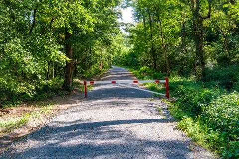 Sunlit Forest Path with Red Barrier Stock Photos