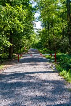 Sunlit Forest Path with Red Barrier Foto stock