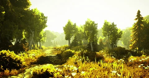 Sunlit forest path surrounded by vibrant greenery and wildflowers in spring Vídeos de archivo 318610222