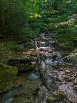 Sunlit Forest Stream Flowing Over Mossy Rocks Through Lush Green Woodland Creek Stock-Fotos
