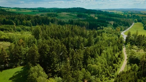 Sunlit forest stretching along hillside beside country road. Green trees Stock Footage 328358331