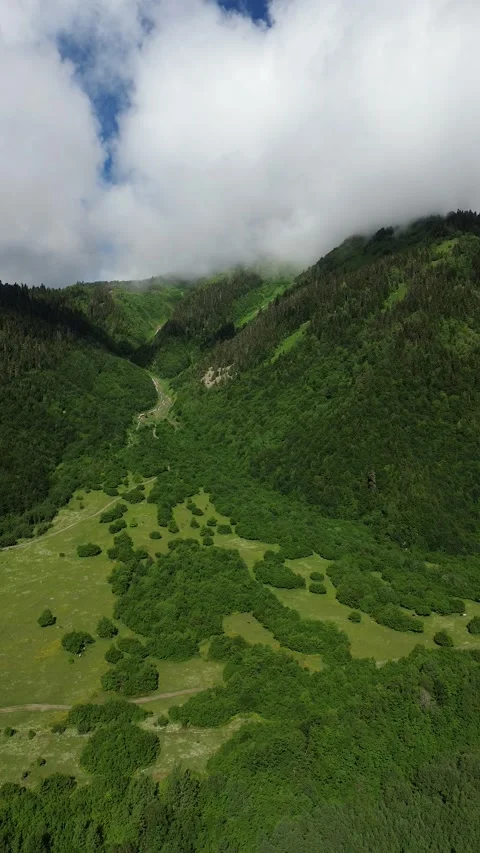 Sunlit Forested Slope and Massive Crest Cloud Vertical Shot 4K RAW Stock Footage 339738850