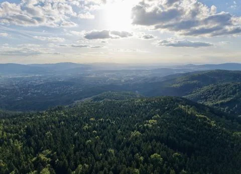 Sunlit forested valley from elevated viewpoint Stock Photos