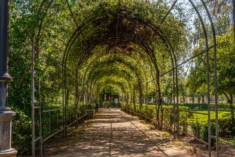 Sunlit Garden Arcade Stock Photos