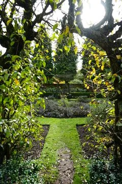 Sunlit Garden Path Framed By Trees At Newstead Abbey, Nottinghamshire, England. Stock Photos