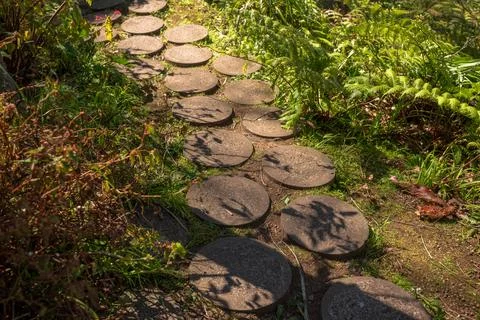 Sunlit garden path with round stepping stones in Madeira Foto stock