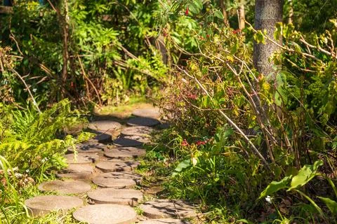 Sunlit garden path with round stepping stones in Madeira, Portugal Stock Photos