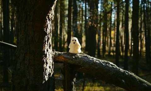Sunlit ghost toy stands on a broken tree trunk in the forest Stock Photos