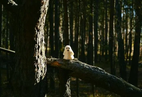 Sunlit ghost toy stands on a broken tree trunk in the forest Stock Photos
