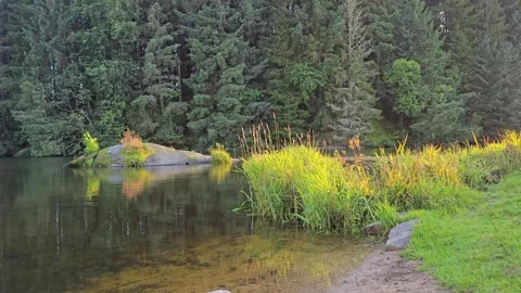 Sunlit Granite Boulder by Lake with Forest Island Reflection Stock Footage 343005120