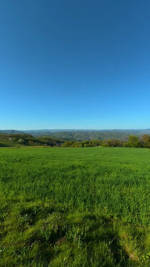 Sunlit grass sways gently. Ovcar Kablar Gorge, Serbia. Vertical Видео 334228020