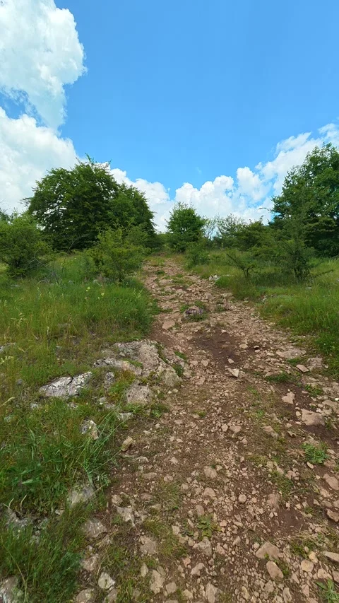 Sunlit grasses and rocks line the narrow path. Kozji Kamen area, Vertical 스톡 동영상 341881254